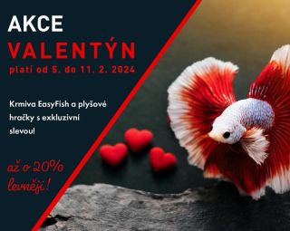 Valentýn se blíží a vymyslet nějaké originální překvapení je rok od roku těžší. 😏 Co tedy my akvaristi máme rádi více, než...