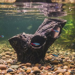 Keramické dekorace @plecoceramics do akvárií s přírodním vzhledem. Vytvořte si krásné a realistické podvodní prostředí s...