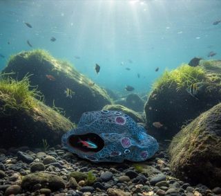 Kámen pro cichlidy s meteoritovým efektem 🪨 Dopřejte svým rybám bezpečný a stylový úkryt! 🐟 Ideální pro cichlidy a rybí...