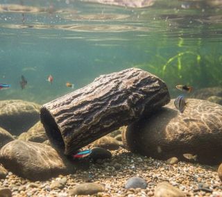 Dokonalý přírodní úkryt pro Ancistruse a další druhy Pleco, jako jsou Hypancistrus, Pectolia apod. Bezpečné, netoxické a...