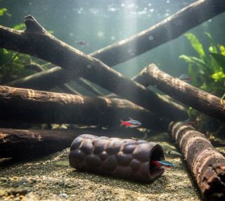 Pleco Cave Bubble – Přírodní hliněná chovná trubice Vylepšete si akvárium našimi přírodními hliněnými pleco jeskyněmi....